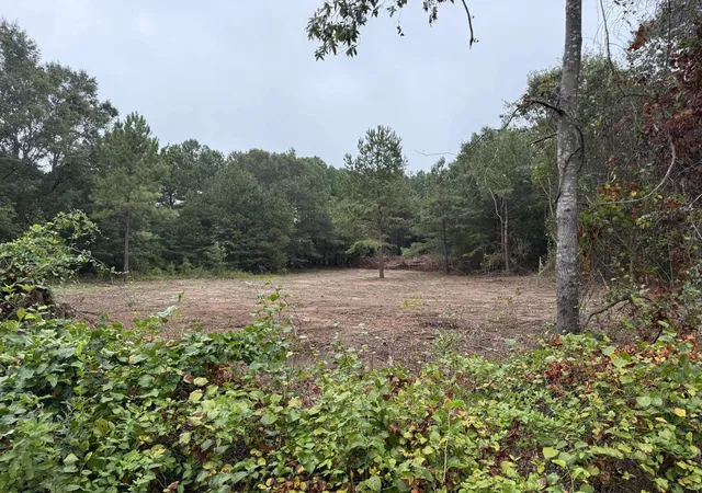 Homes for sale in Chesnee, SC | 229 Holly Dr, Chesnee, SC 29323 | MLS# SPN337569