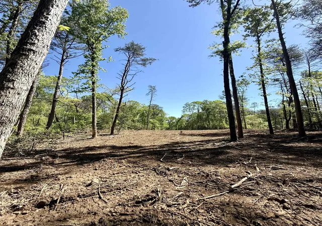 3rd image of 0 Thompson Rd, Greer, SC 29651 | MLS# SPN337874