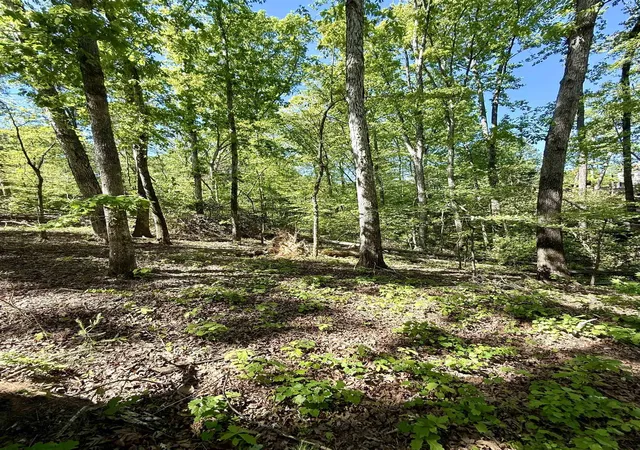 5th image of 0 Thompson Rd, Greer, SC 29651 | MLS# SPN337874