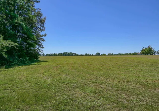 Homes for sale in Cowpens, SC | Swofford Dr, Cowpens, SC 29330 | MLS# SPN338002
