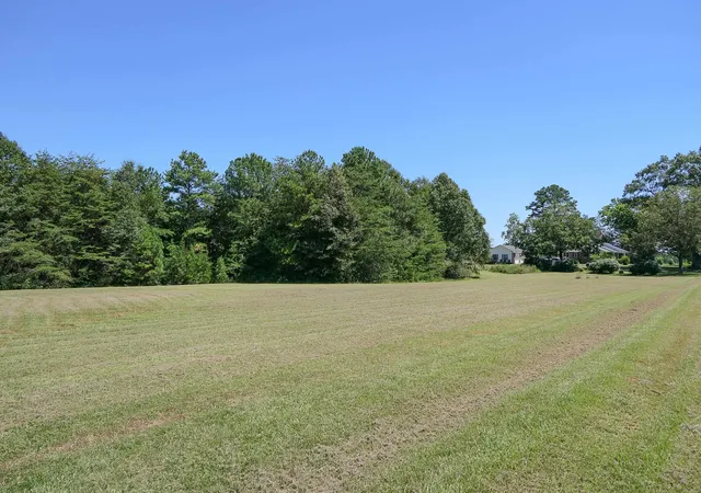 Homes for sale in Cowpens, SC | Swofford Dr, Cowpens, SC 29330 | MLS# SPN338002
