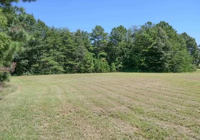Homes for sale in Cowpens, SC | Swofford Dr, Cowpens, SC 29330 | MLS# SPN338002