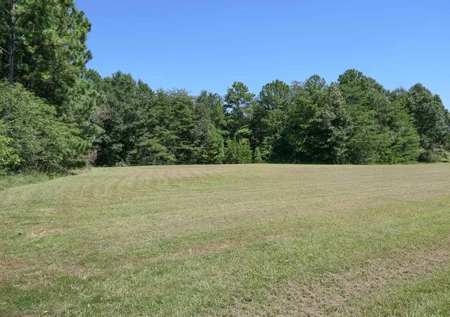 Homes for sale in Cowpens, SC | Swofford Dr, Cowpens, SC 29330 | MLS# SPN338002