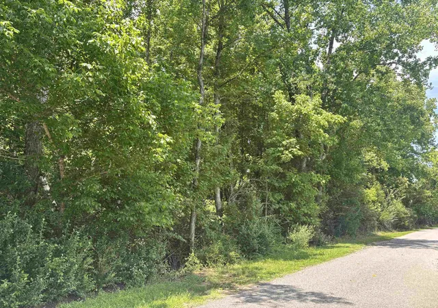 Photo 2 of Sale Pending at 00 Borders Rd, Blacksburg, SC 29702 | MLS# SPN338027 | Listing updated on 2026-08-18