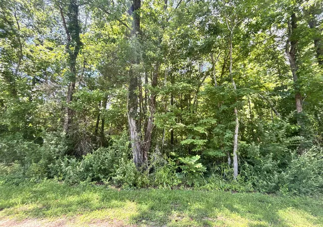 Photo 3 of Sale Pending at 00 Borders Rd, Blacksburg, SC 29702 | MLS# SPN338027 | Listing updated on 2026-08-18