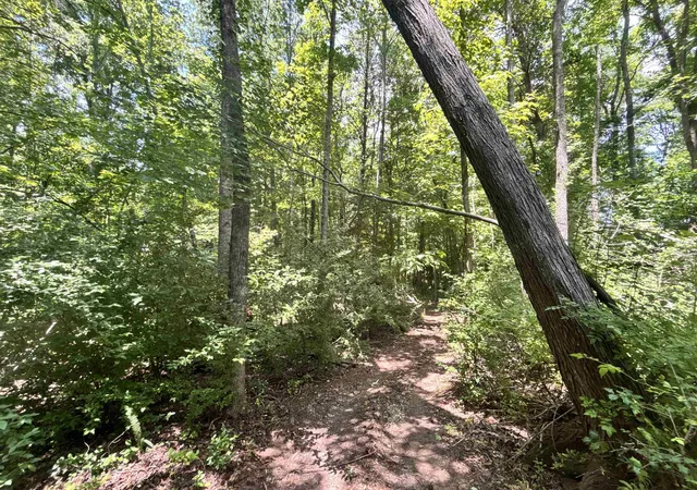 Photo 4 of Sale Pending at 00 Borders Rd, Blacksburg, SC 29702 | MLS# SPN338027 | Listing updated on 2026-08-18