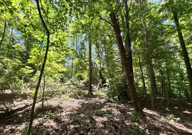 Photo 5 of Sale Pending at 00 Borders Rd, Blacksburg, SC 29702 | MLS# SPN338027 | Listing updated on 2026-08-18