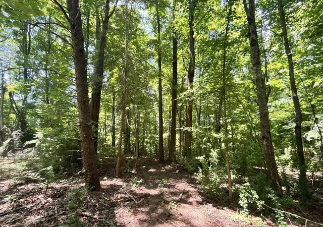 Photo 7 of Sale Pending at 00 Borders Rd, Blacksburg, SC 29702 | MLS# SPN338027 | Listing updated on 2026-08-18