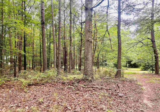 Homes for sale in Campobello, SC | 00 Asheville Hwy, Campobello, SC 29322 | MLS# SPN338063