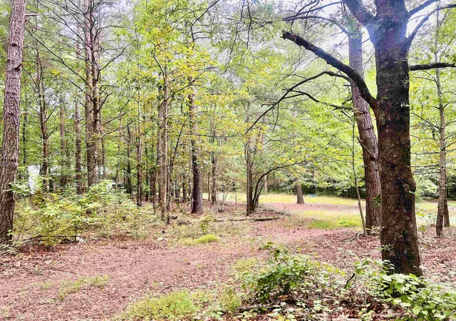 Homes for sale in Campobello, SC | 00 Asheville Hwy, Campobello, SC 29322 | MLS# SPN338063