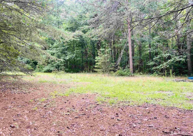 Homes for sale in Campobello, SC | 00 Asheville Hwy, Campobello, SC 29322 | MLS# SPN338063