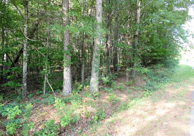 Homes for sale in Gaffney, SC | 240 Coyl Rd, Gaffney, SC 29340 | MLS# SPN338073