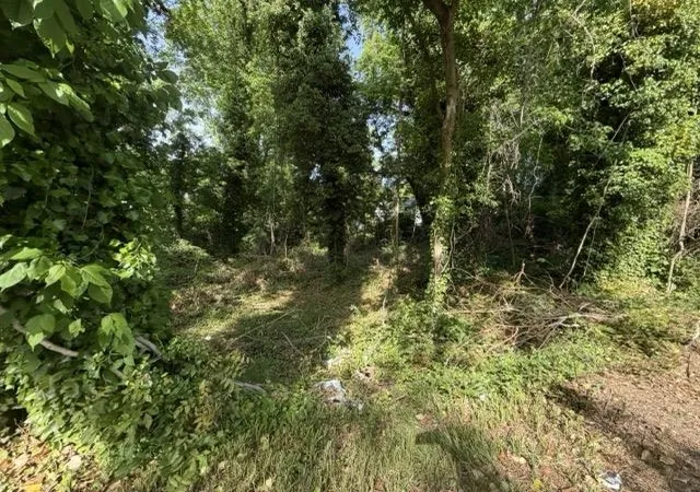 Photo 3 of Land for sale at 113 Owens St, Spartanburg, SC 29306 | MLS# SPN338090 | Listing updated on 2026-06-11