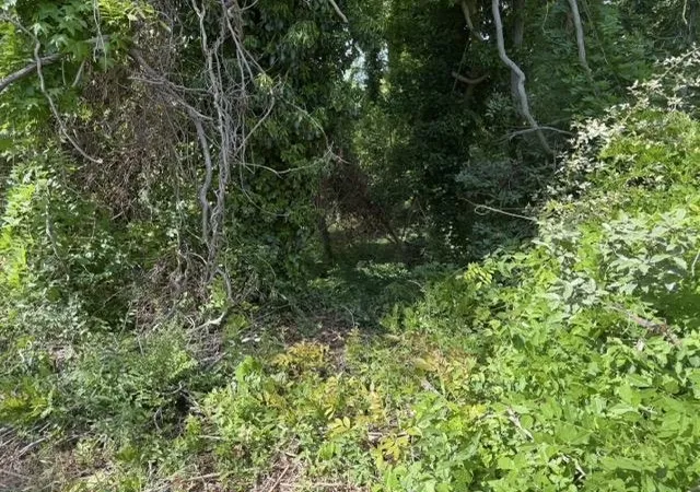 Photo 3 of Land for sale at 113 Owens St, Spartanburg, SC 29306 | MLS# SPN338090 | Listing updated on 2026-06-11