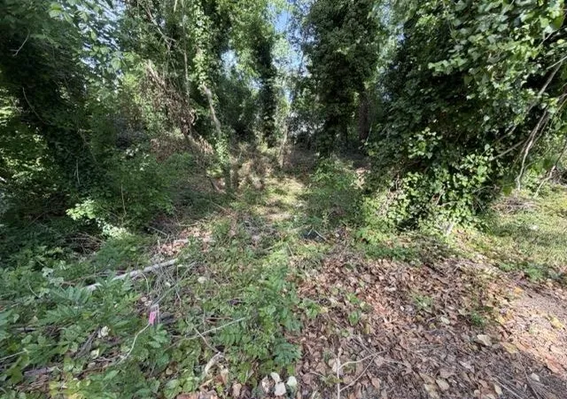 Photo 4 of Land for sale at 113 Owens St, Spartanburg, SC 29306 | MLS# SPN338090 | Listing updated on 2026-06-11
