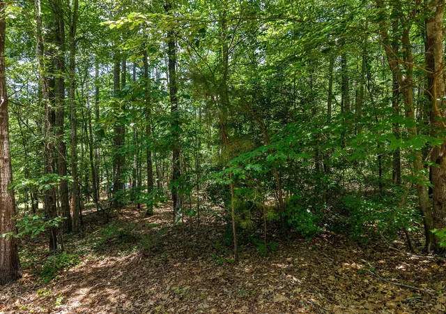 Photo 3 of Land for sale at 190 Longleaf Dr, Spartanburg, SC 29302 | MLS# SPN338236 | Listing updated on 2026-08-27