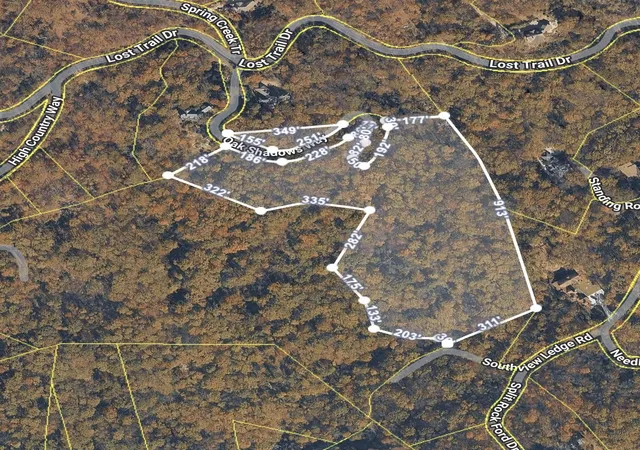Photo 4 of Land for sale at Oak Shadow Way, Landrum, SC 29356 | MLS# SPN338371 | Listing updated on 2026-08-09