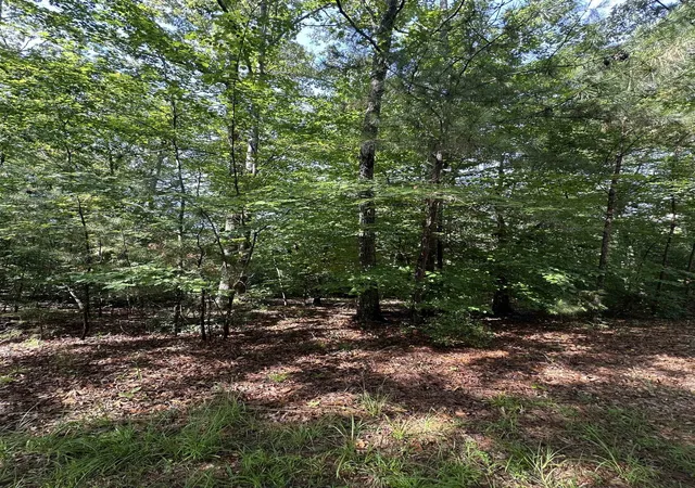 2nd image of Old Buncombe Rd, Union, SC 29379 | MLS# SPN338376