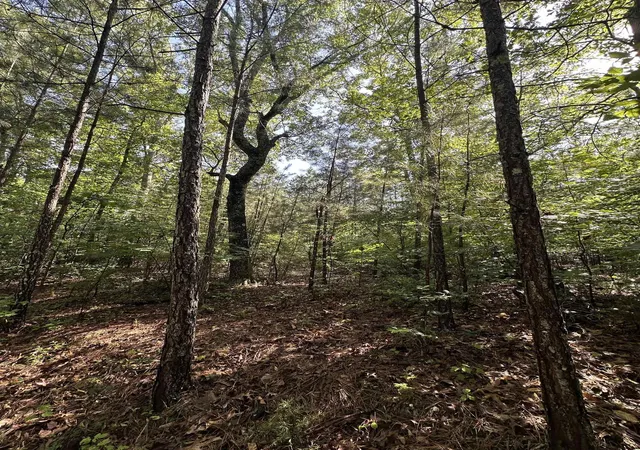 3rd image of Old Buncombe Rd, Union, SC 29379 | MLS# SPN338376
