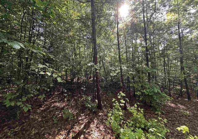4th image of Old Buncombe Rd, Union, SC 29379 | MLS# SPN338376