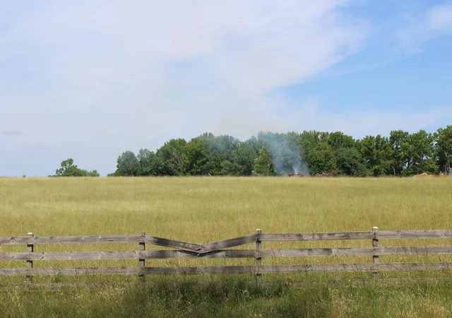 4th image of Lot 8 Ted Smith Rd, Rutherfordton, NC 28139 | MLS# SPN338414