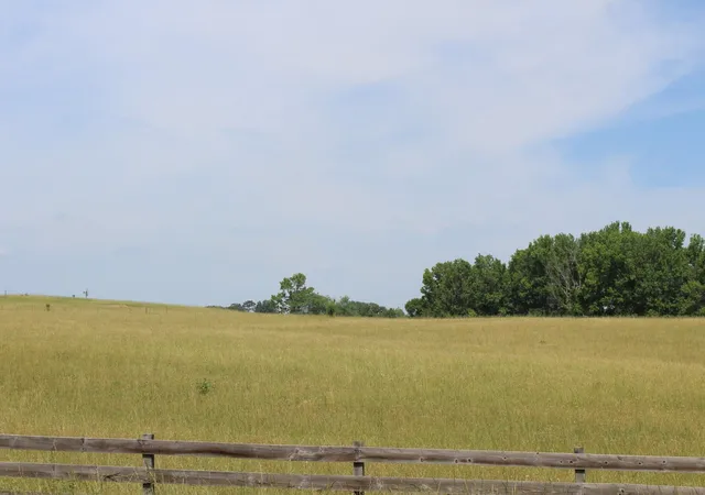 2nd image of Lot 7 Ted Smith Rd, Rutherfordton, NC 28139 | MLS# SPN338416