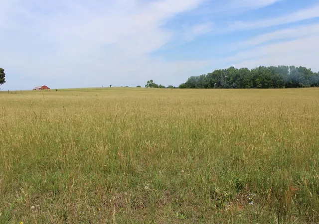 3rd image of Lot 5 Ted Smith Rd, Rutherfordton, NC 28139 | MLS# SPN338417