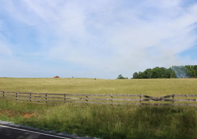 28th image of Lot 4 Ted Smith Rd, Rutherfordton, NC 28139 | MLS# SPN338418