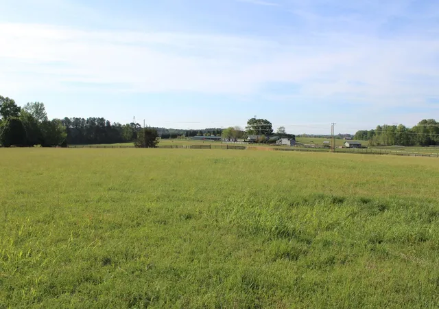 3rd image of Lot 4 Ted Smith Rd, Rutherfordton, NC 28139 | MLS# SPN338418