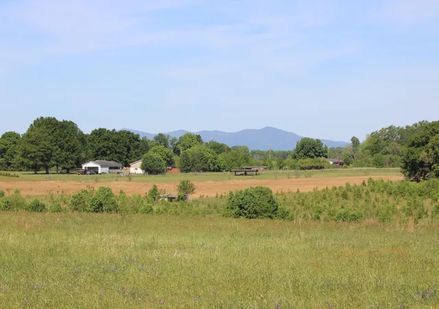4th image of Lot 4 Ted Smith Rd, Rutherfordton, NC 28139 | MLS# SPN338418