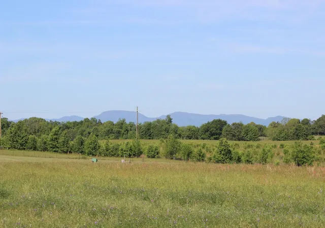 Photo 2 of Sale Pending at Lot 3 Ted Smith Rd, Rutherfordton, NC 28139 | MLS# SPN338419 | Listing updated on 2026-09-14