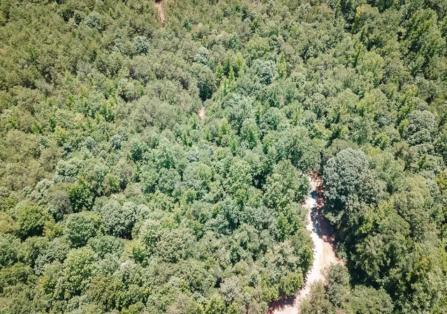 Photo 3 of Land for sale at 2109 Tract B Riddle Rd, Pauline, SC 29374 | MLS# SPN338587 | Listing updated on 2026-08-15