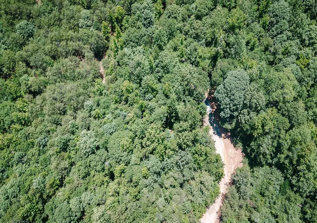 Photo 3 of Land for sale at 2109 Tract B Riddle Rd, Pauline, SC 29374 | MLS# SPN338587 | Listing updated on 2026-08-15