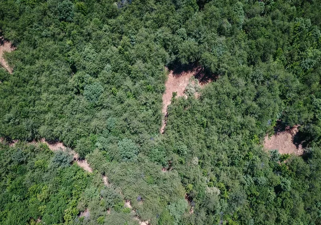 Photo 3 of Land for sale at 2109 Tract C Riddle Rd, Pauline, SC 29374 | MLS# SPN338588 | Listing updated on 2026-08-15