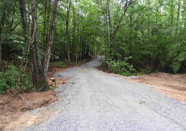 Photo 3 of Land for sale at 2109 Tract D Riddle Rd, Pauline, SC 29374 | MLS# SPN338589 | Listing updated on 2026-08-15