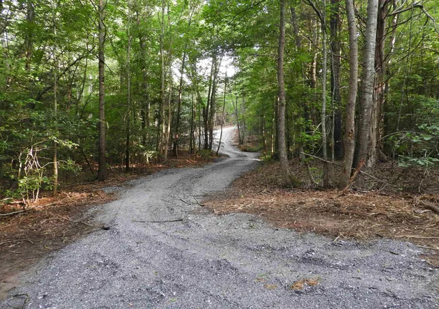 Photo 3 of Land for sale at 2109 Tract D Riddle Rd, Pauline, SC 29374 | MLS# SPN338589 | Listing updated on 2026-08-15