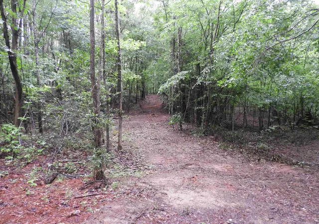 Photo 4 of Land for sale at 2109 Tract D Riddle Rd, Pauline, SC 29374 | MLS# SPN338589 | Listing updated on 2026-08-15