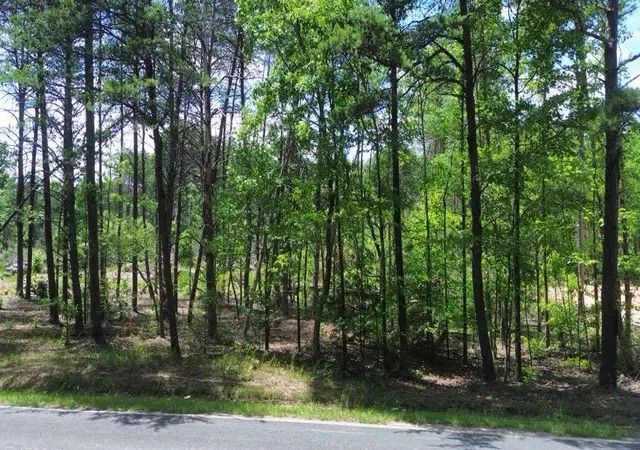 Homes for sale in Gaffney, SC | 726 Goucher Green Bethel Rd, Gaffney, SC 29340 | MLS# SPN338603