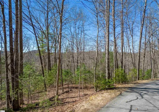1st image of 132 Overlook Park Dr, Hendersonville, NC 28792 | MLS# SPN338674