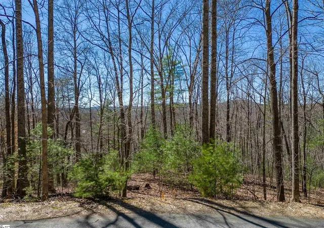 2nd image of 132 Overlook Park Dr, Hendersonville, NC 28792 | MLS# SPN338674