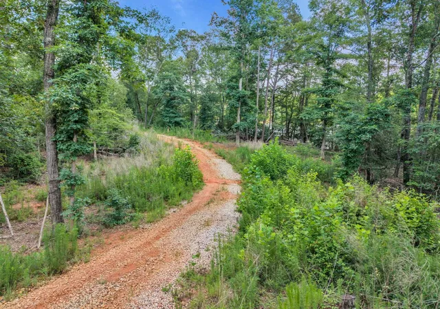 Photo 4 of Land for sale at 0 Brg View Rd, Chesnee, SC 29323 | MLS# SPN338765 | Listing updated on 2026-06-26