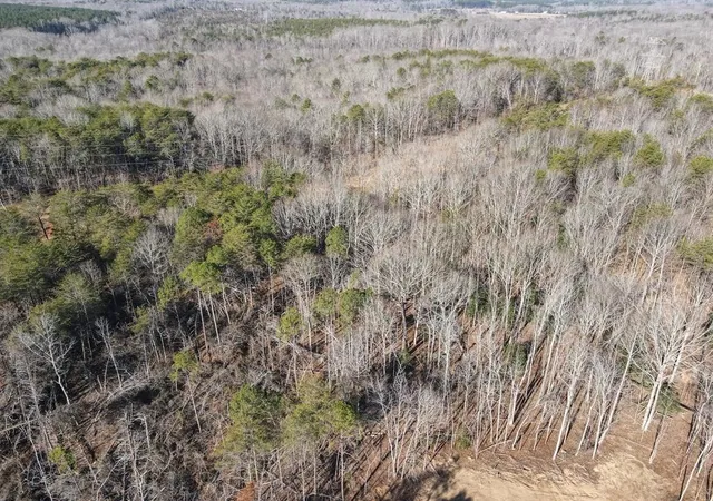 Photo 15 of Land for sale at Goucher Green Bethel Rd, Gaffney, SC 29340 | MLS# SPN338811 | Listing updated on 2026-09-01