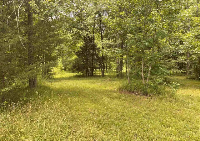 Homes for sale in Gaffney, SC | Lot 1 Corinth Rd, Gaffney, SC 29340 | MLS# SPN338850