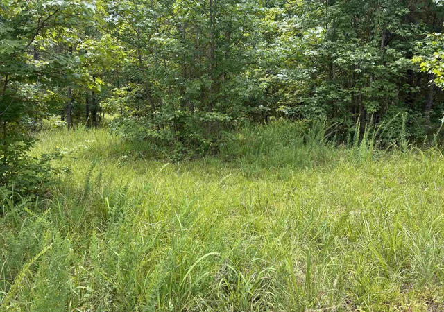 Homes for sale in Gaffney, SC | Lot 1 Corinth Rd, Gaffney, SC 29340 | MLS# SPN338850