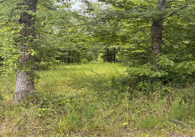 Homes for sale in Gaffney, SC | Lot 1 Corinth Rd, Gaffney, SC 29340 | MLS# SPN338850