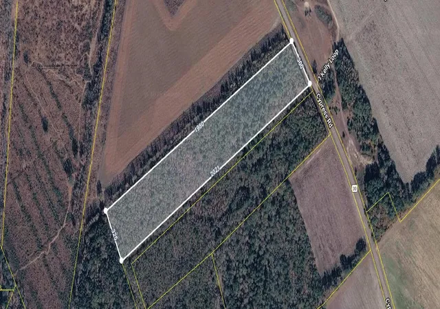 Homes for sale in Bishopville, SC | Cypress Rd, Bishopville, SC 29010 | MLS# SPN338952