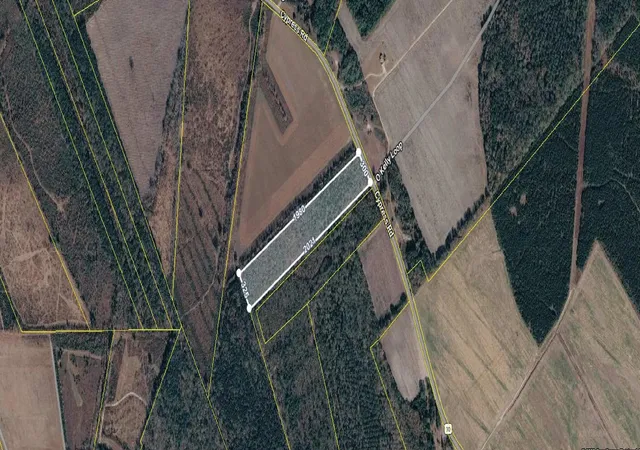Homes for sale in Bishopville, SC | Cypress Rd, Bishopville, SC 29010 | MLS# SPN338952