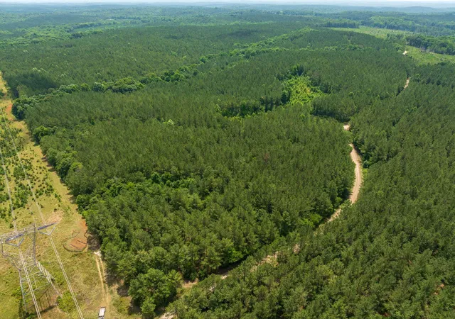 Land for sale at 1 Quail Holw Rd, Sharon, SC 29742 | MLS# SPN338989