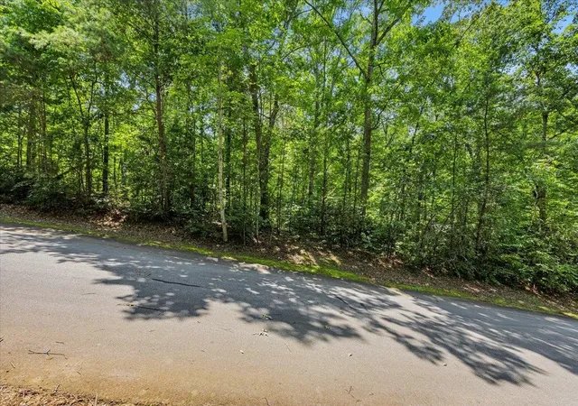 Homes for sale in Travelers Rest, SC | 14 Alsace Wy, Travelers Rest, SC 29690 | MLS# SPN339012
