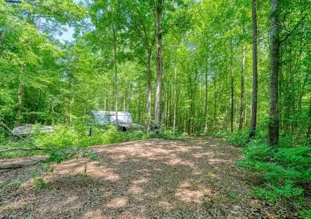 Homes for sale in Enoree, SC | 0 Long Branch Rd, Enoree, SC 29335 | MLS# SPN339028
